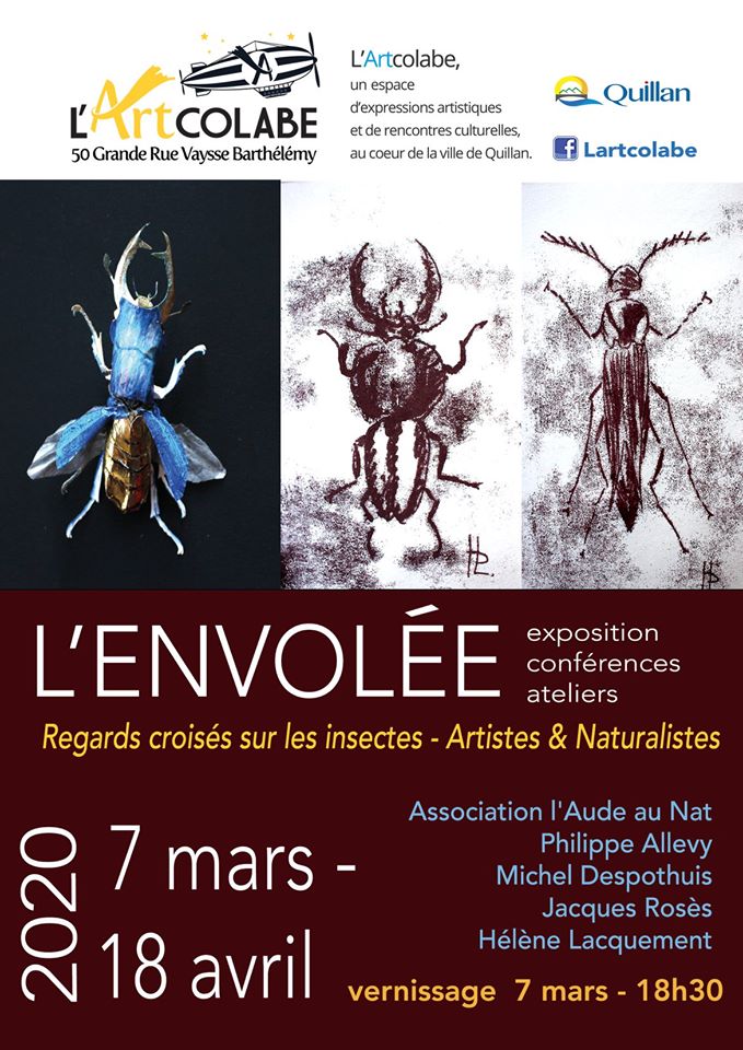 86430132_2345914409033819_4845255874811265024_o