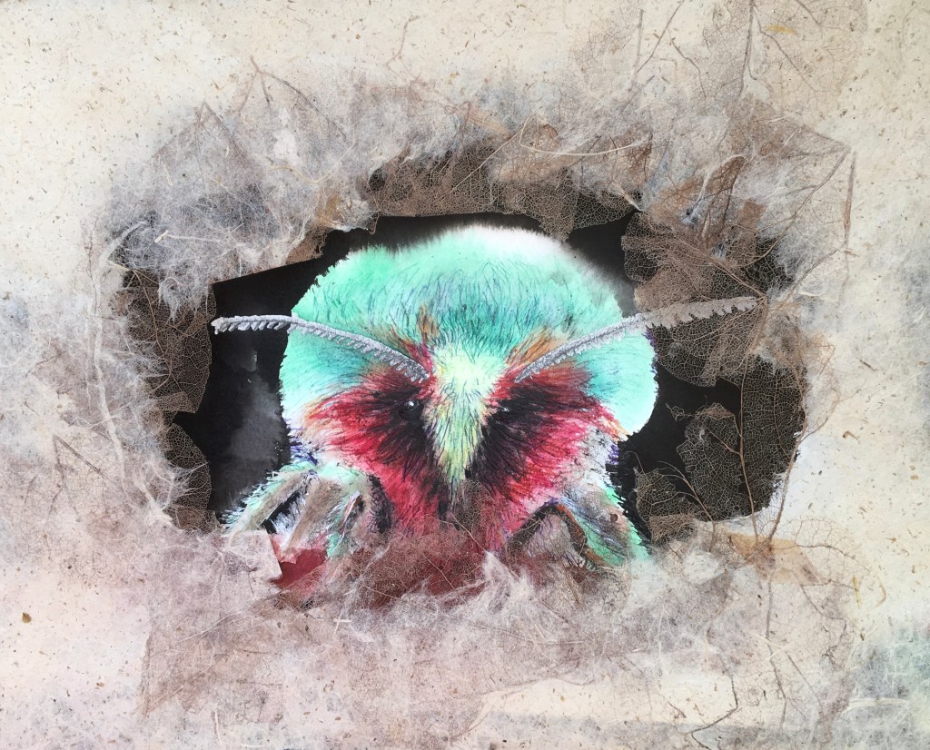 Refuge n°1, aquarelle, rehauts stylo, papiers et dentelles de plantes, 33 x 33 x 4 cm, 2026.